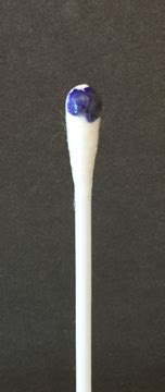 12.6.4: Oxidase Test .